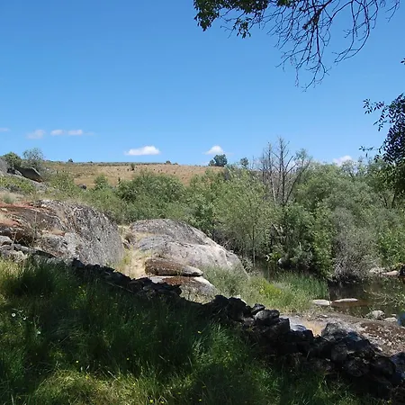 Casa Da Janal בית חווה Vimioso
